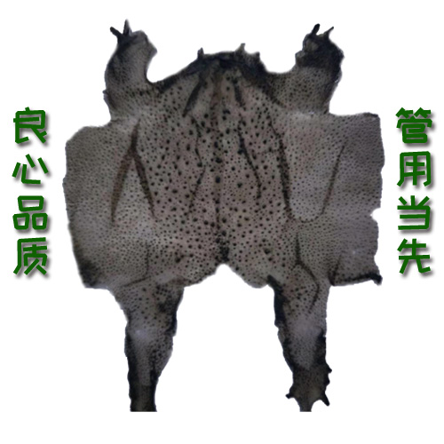 優(yōu)質(zhì)天然高效蟾衣