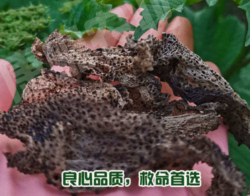 用不用蟾衣，你聽(tīng)誰(shuí)的？